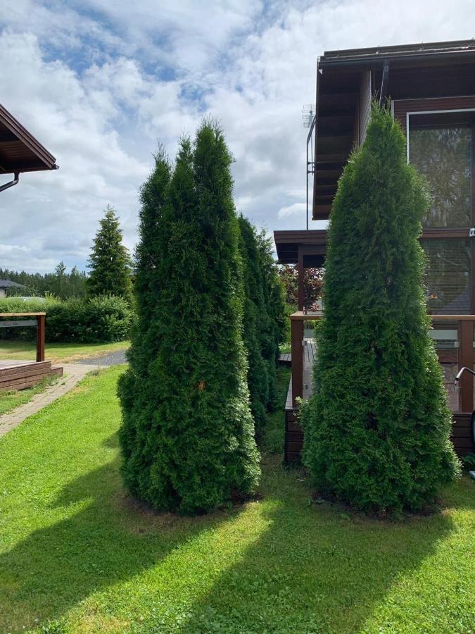 Kiurunrinne Villas Imatra Exterior photo